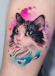 Generales - Acuarela