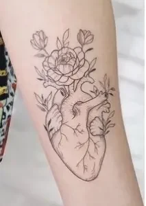 Generales - Acuarela