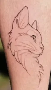 Generales - Acuarela