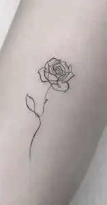 Generales - Acuarela