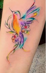 Generales - Full Color