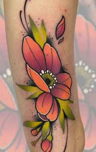 Generales - Full Color