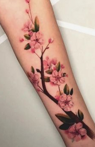 Japones - Tradicional